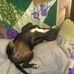 Ralph Boone - Facebook