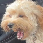 RALPH [R2TRAPPY🥷🏽] - @ralph_bridges_ - Instagram