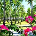 Ralph Brown - @ralph.brown9461 - Instagram