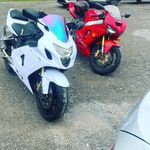 Ralph Bush - @bushman2500 - Instagram