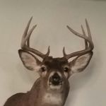 Ralph Bush - @bushralph3 - Instagram