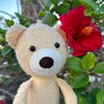 Ralph van Buttoneye - @ralph_buttoneye - Instagram