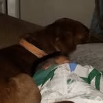 Ralph Wilson Butts - @ralphwilsonbutts - Instagram