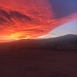 Ralph Calicher - @ralph_calicher - Instagram