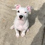 Benny Ralph Cantrell - @benjaminralphcantrell - Instagram