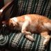 Ralph Cantrell - Facebook