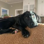 Ralph Cantrell - @ralphshenanigans - Instagram