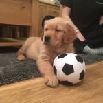 Ralph cooper castle - @ralphcastle_ - Instagram