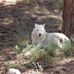 Ralph Caudill - Facebook