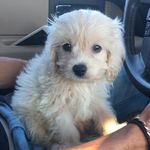Ralph Chambers - @ralph.chambers - Instagram