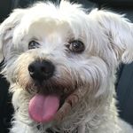 Ralph Chambers - @weekendwithweeferz - Instagram
