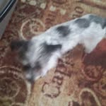 Ralph Christopher Nickel - @ralph_12_2003 - Instagram