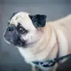 ralph.clifford.2002 - @ralph.clifford.2002 - TikTok