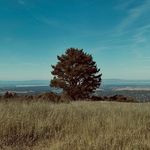 @ralphclouden - Instagram