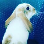 Ralph - @ralph__coelho - Instagram