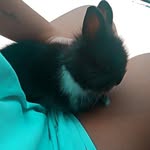 Ralph🐰❤ - @ralph_coelho.sc - Instagram