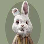 Ralph🐇 - @ralph_coelinho - Instagram