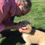 Ralph Colaizzi - @ralphcolaizzi - Instagram