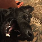 Ralph Colantuono - @rac7424 - Instagram