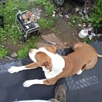 Ralph Colyer - Facebook