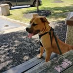 Ralph comer - @comer_ralph - Instagram