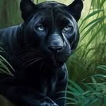 Ralph Conde - @conde.ralph - Instagram