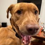 Ralph Conner - @rfowlerconner - Instagram