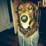 Ralph Connor - @ralphjconnor44 - Instagram