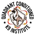 Ralph Cornelius | K9 Specialist | PSA Trainer - @quadrant.conditioned - Instagram