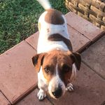 Ralph Cornelius Goodman❤️ - @ralph.cornelius.goodman - Instagram
