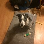 Ralph Cornwell Jr - @doctor_ralph - Instagram
