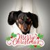 Ralph Counts - Facebook