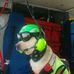 Ralph Coyle - Facebook