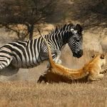 Ralph Coyne - @ralphcoyne - Instagram