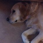 ralph c - @ralph_coyle - Instagram