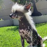 Ralph.cristachines - @ralph_cristachines - Instagram
