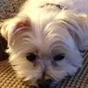 Ralph Cullen - @ralph.cullen - TikTok