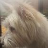 Ralph Cunningham - @ralphcunningham3 - TikTok