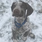 Ralph - @ralph_gsp_daily - Instagram
