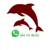 kenandai y - @ralph_daniels - TikTok