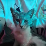 Ralph Dante - @ralphdante3 - Instagram