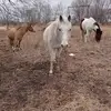 Ralph Deatherage - @ralphdeatherage - TikTok