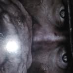 Ralphy Debbler - Facebook