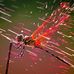 Ralph DeGennaro - Facebook