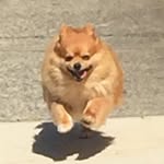 ralphdelvecchio - @ralphdelvecchio - Instagram
