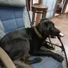ralphdenis6 - @ralphdenis6 - TikTok