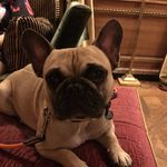 Ralph DeVito - @ralph.devito - Instagram