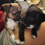 Dexter Ralph - @dexter.ralph - Instagram