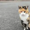 Ralph Dockertson - @ralph.dockertson - TikTok