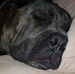 Ralf Draeger - Facebook